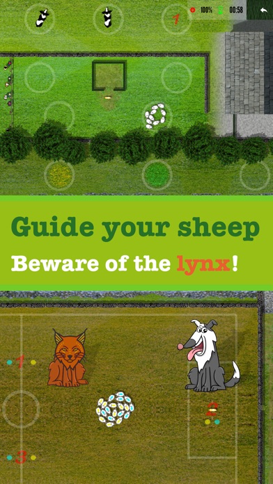 Sheep dog Championship FULL screenshot 2