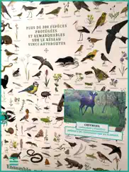 animalia by vinci autoroutes iPad Captures Décran 3