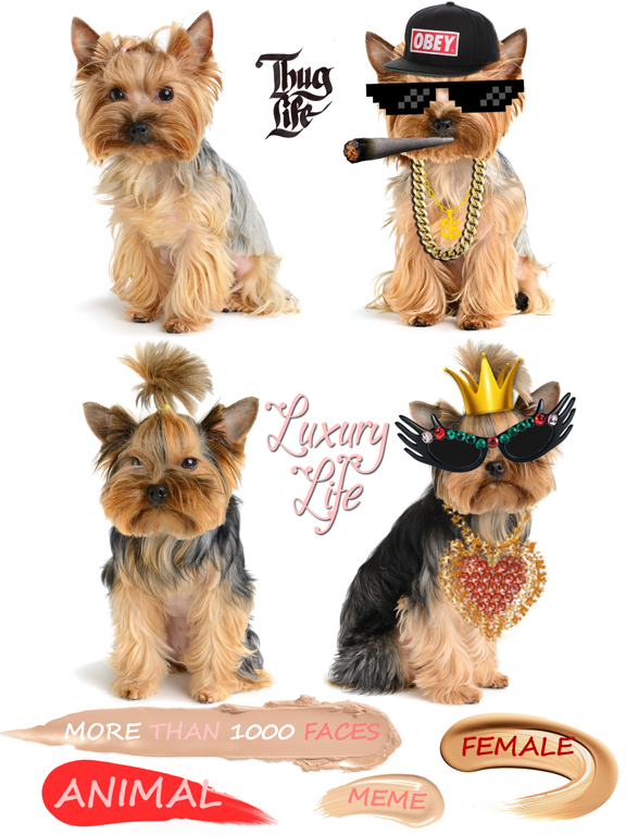 Screenshot #5 pour Photo Troller