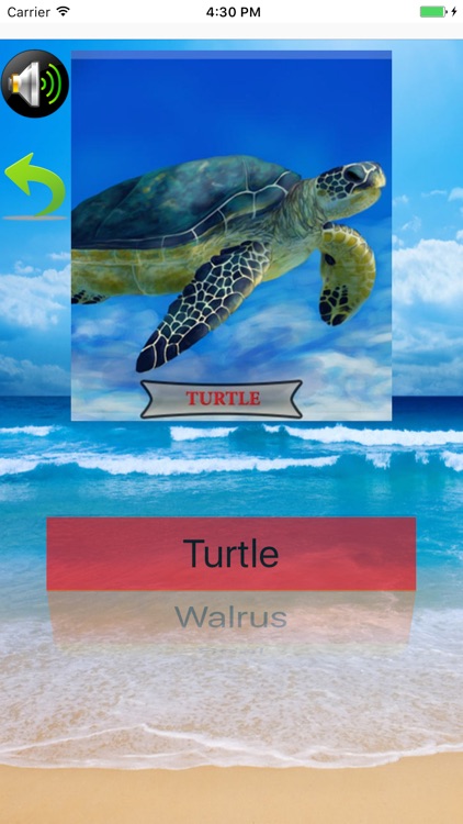 اسماء و اصوات الحيوانات screenshot-4