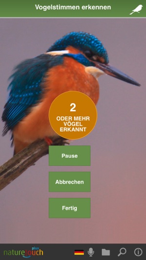 Vogelstimmen live erkennen(圖3)-速報App