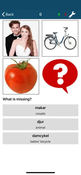 Game screenshot Learn Swedish – 50 languages hack