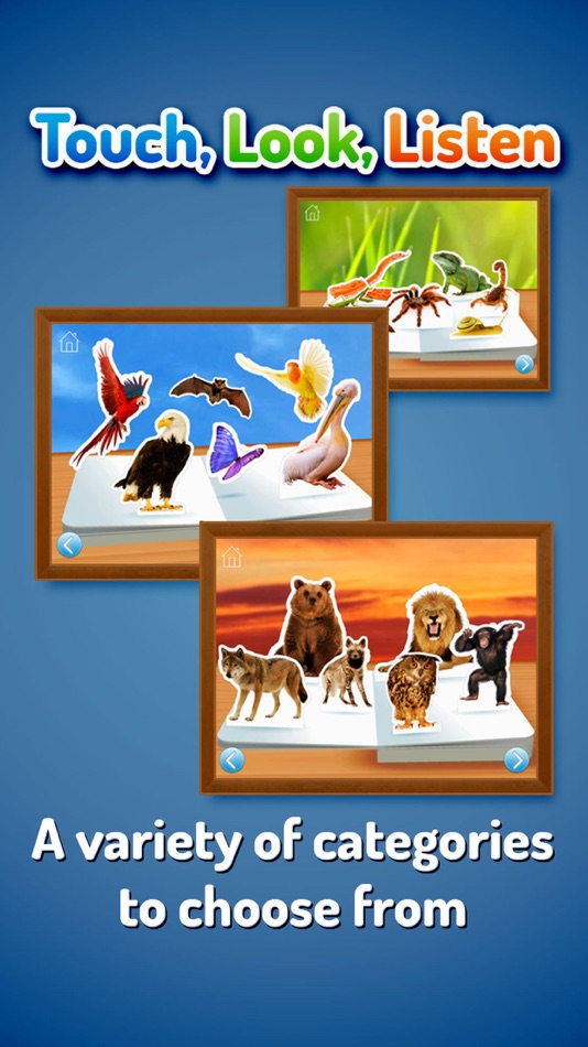 #4. Zoo Animals ~ Touch, Look, Listen (iOS) 由: StoryToys Limited