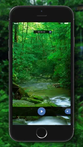 Game screenshot Relaxing Nature - Forest Sounds apk