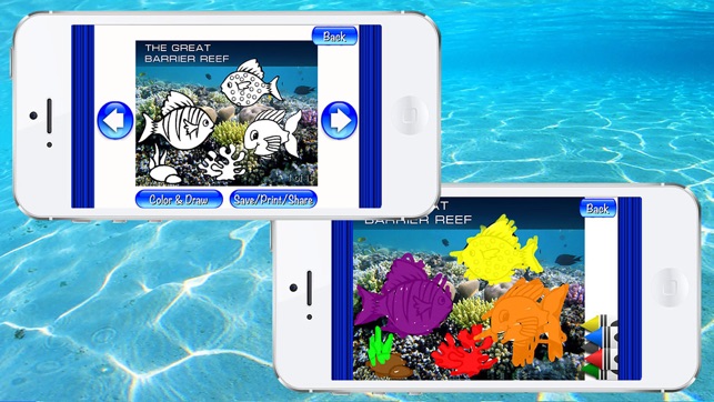 Ocean: encyclopedia of the sea animals(圖3)-速報App