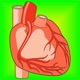 Heart Health: Heart Healthy Living Facts & Tips app icon - Medical app for iPhone