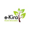 DES e-Kira app