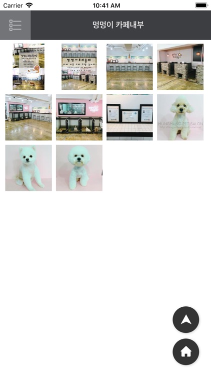 멍멍이보러올래