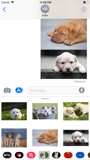 Puppy Sticker Pack(圖6)-速報App