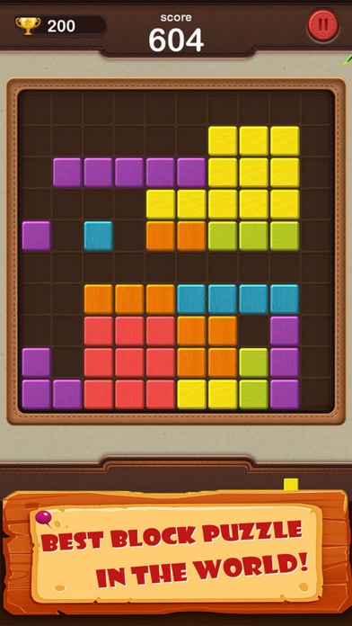Amazing New Block Puzzle screenshot 3