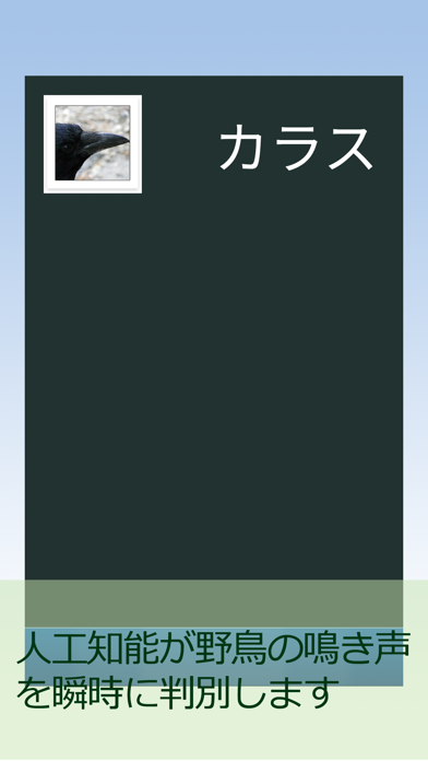 Screenshot #2 pour BIRD RADAR LITE