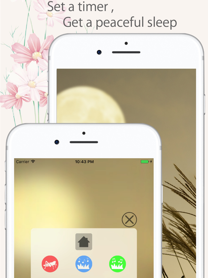 Japanese Relaxing Songs