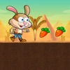 Rabbit Runner Adventure