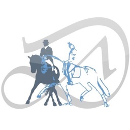 Dressurpferde Simon Drop