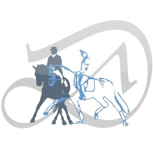 Dressurpferde Simon Drop