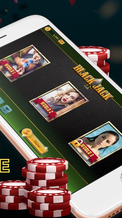 Blackjack: The Casino screenshot 4
