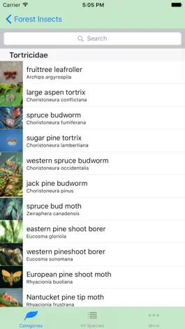 Game screenshot Forest Insect Pests apk