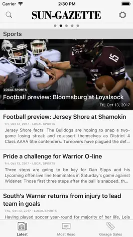 Game screenshot Williamsport Sun-Gazette apk