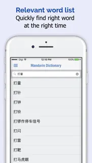 mandarin chinese dictionary + iphone screenshot 2