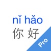 Pinyin Helper Pro