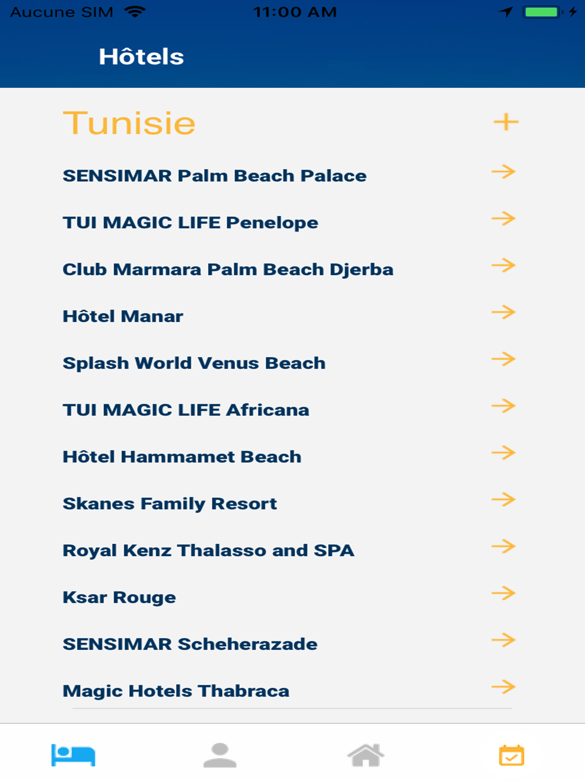 Magic Hotels