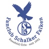 Schalker Falken Raesfeld/Erle