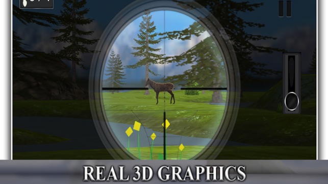 Big Deer Target(圖2)-速報App