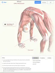 3d yoga anatomy ipad resimleri 3