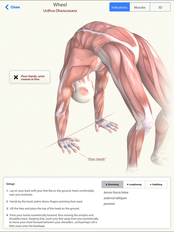 3D Yoga Anatomyのおすすめ画像3