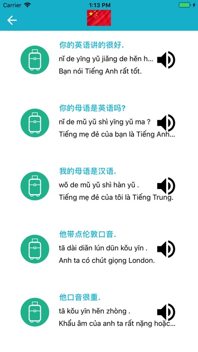Chinese - Vietnamese:Language screenshot 2