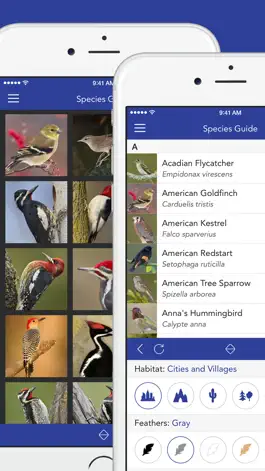 Game screenshot iKnow Birds LITE - USA apk