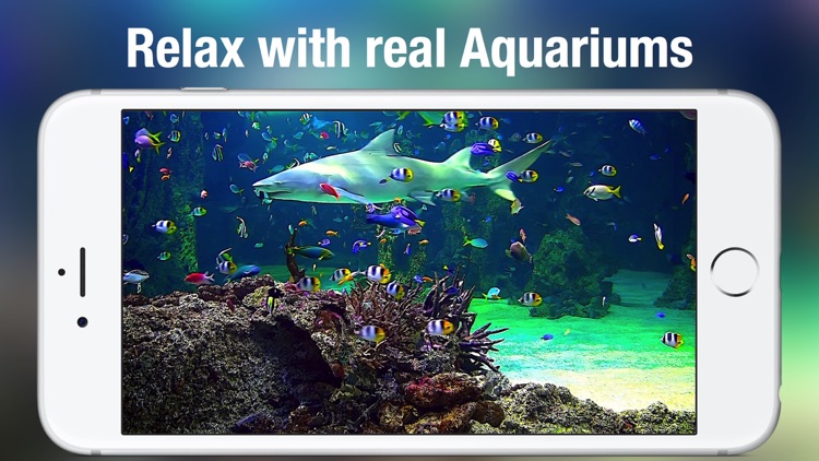 Aquarium Live HD