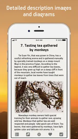 Captura de pantalla de 100 Things To Do In Your Life en iPhone 3
