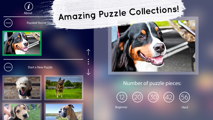 Venn Dogs: Jigsaw Puzzle screenshot-3