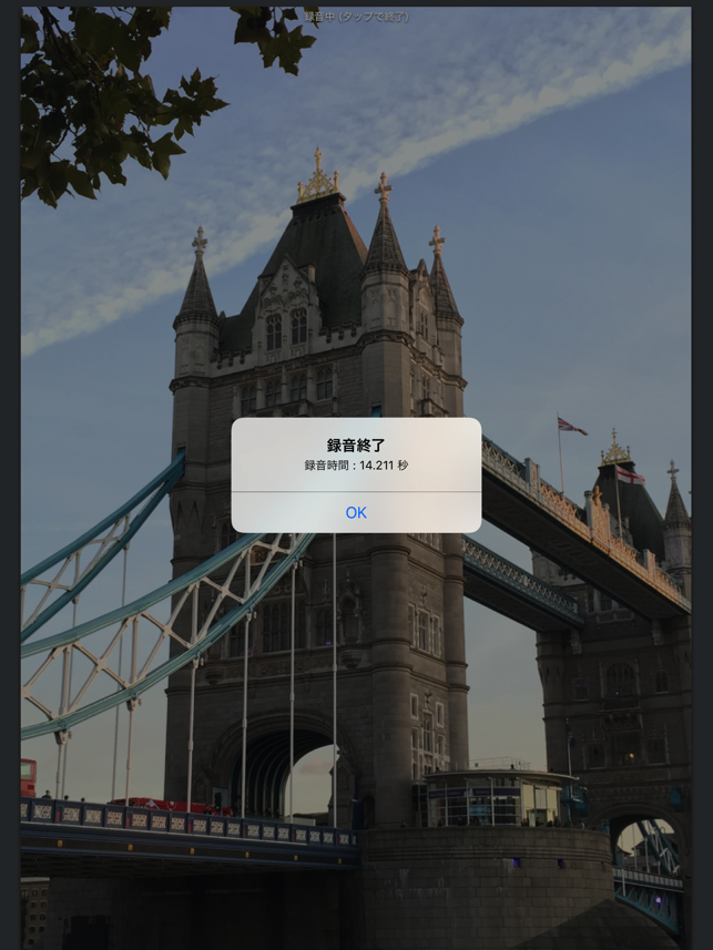 Rec Voice(圖2)-速報App