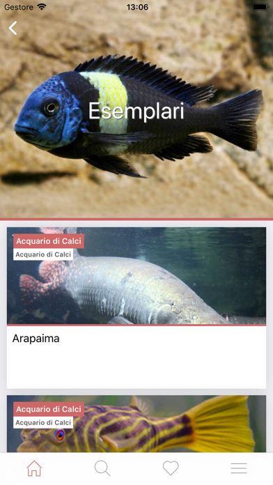 Screenshot 4 of Natural History Museum Unipi App