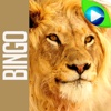 ANIMAL BINGO - Live Animal Bingo & Slots!