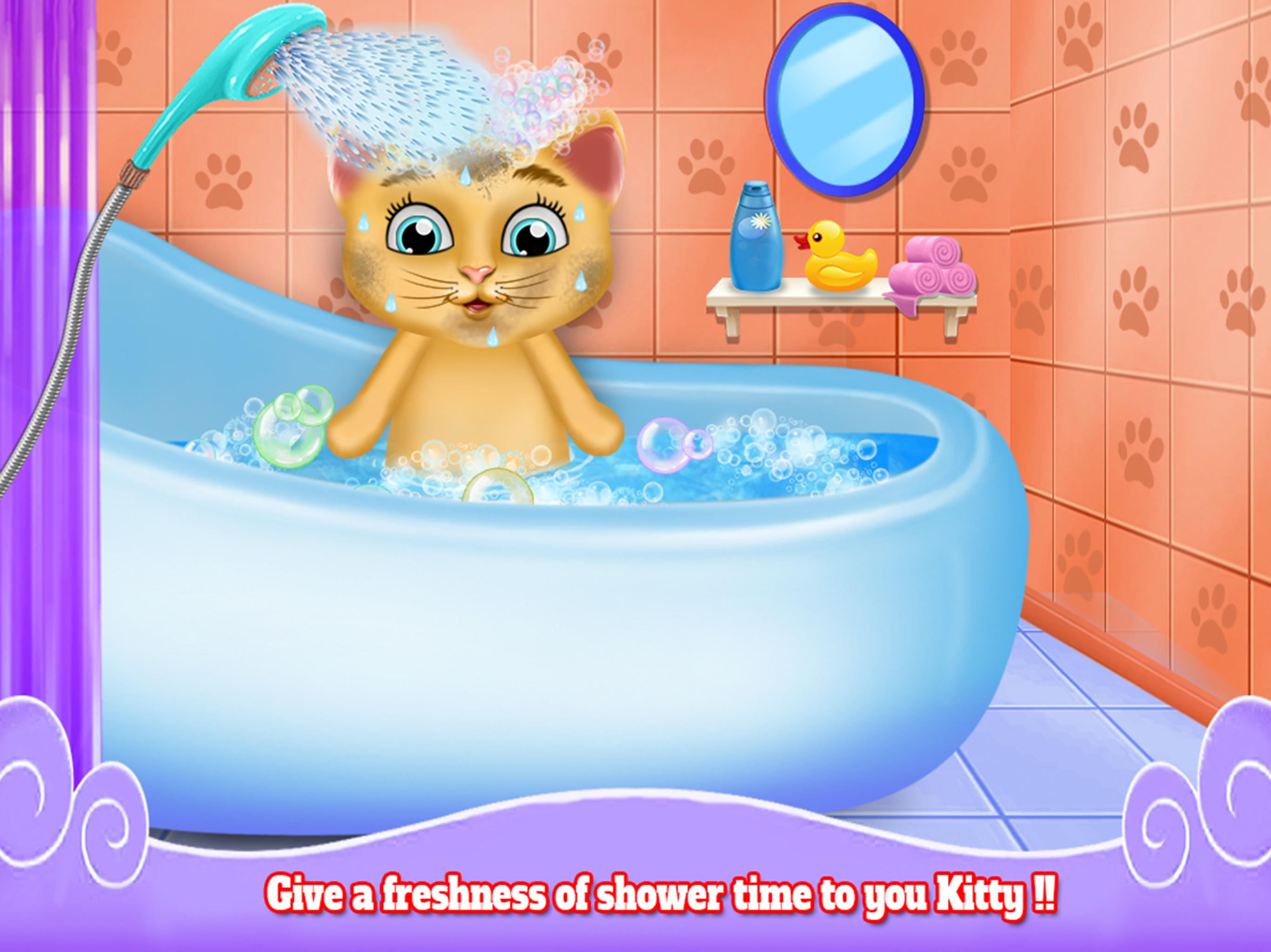 Cute Kitten Daycare & Beauty Salon