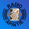 Apintie icon