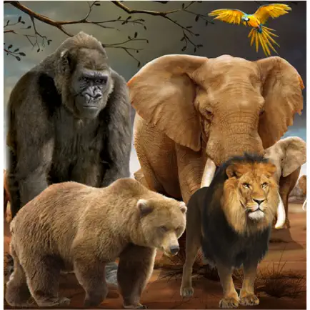 Names of Animal Sounds Читы