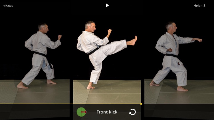Kata Shotokan screenshot-3