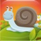 SNAIL is a game designed especially for kids to master logical and concentration skills, color perception, to develop recognition of shapes while also encouraging eye-hand coordination and problem solving