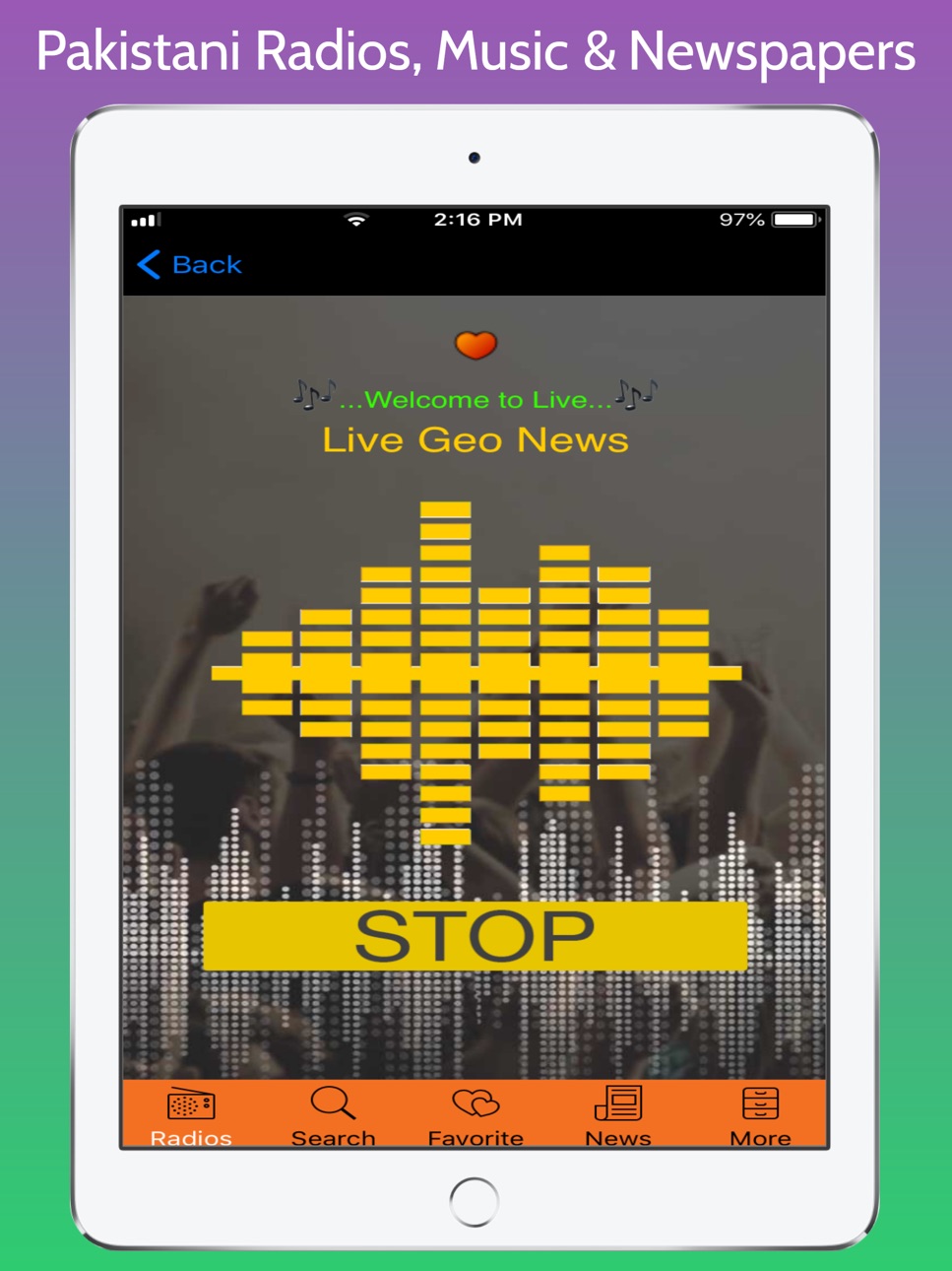 iPad screenshot