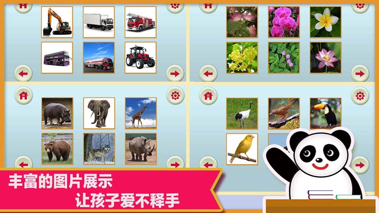 Panda Chinese Class- 熊猫认知小博士课堂