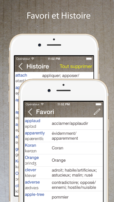 Screenshot #3 pour Dictionnaire Anglais Français.