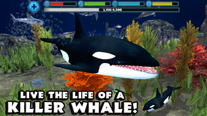 Orca Simulator screenshot 1