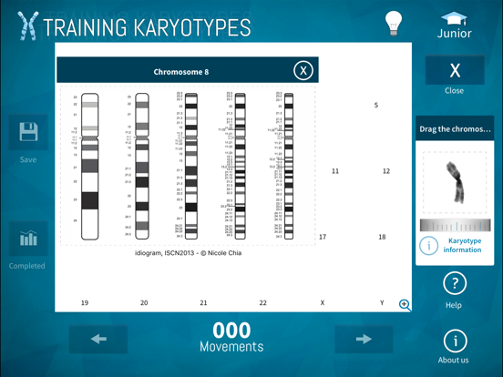 Training Karyotypes iPad screenshot 4 - Medical app
