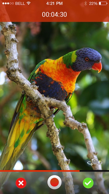 SnappyFlickz screenshot-4