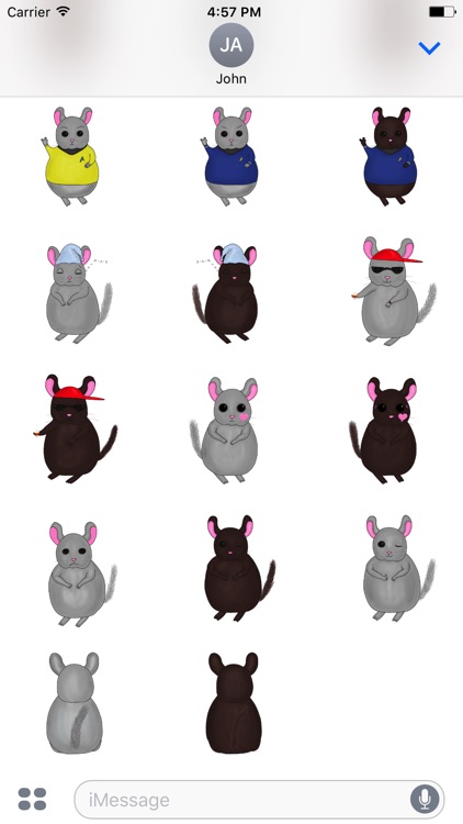Little Chinchilla