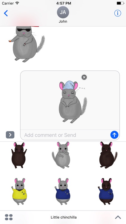 Little Chinchilla